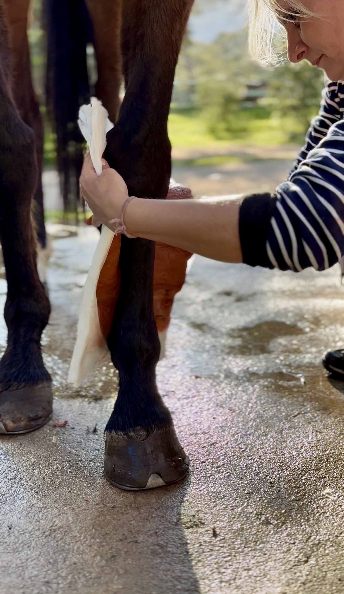 Terre Rouge – Image 1