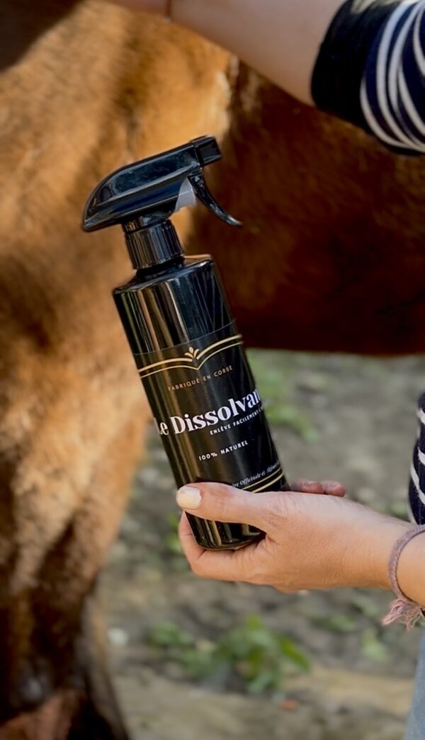 Le Dissolvant
